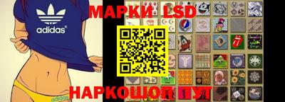 a pvp Новодвинск