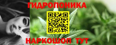 a pvp Новодвинск