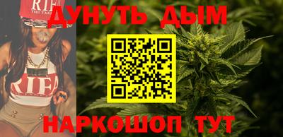 a pvp Новодвинск