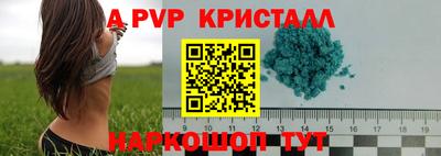 a pvp Новодвинск