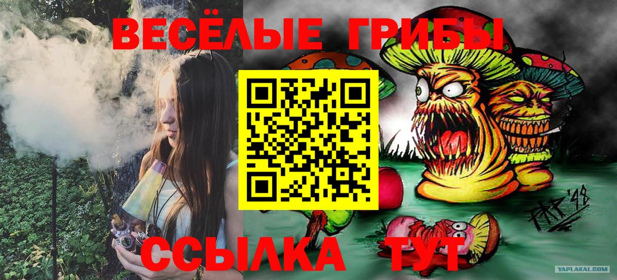 Псилоцибиновые грибы Cubensis Томск